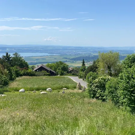 Avec Vue Panoramique Alpes Et
