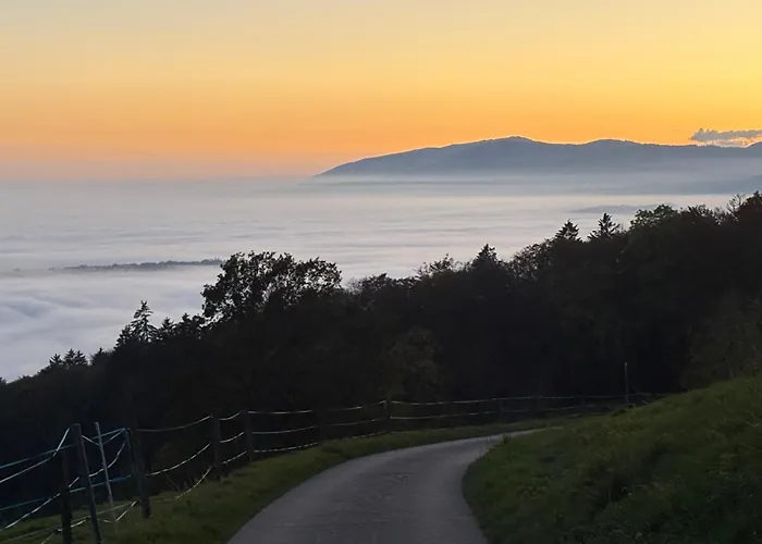 Chalé Avec Vue Panoramique Alpes Et Mauborget
