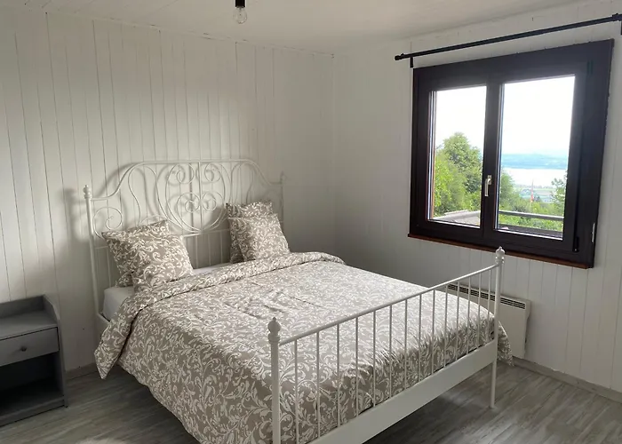 Avec Vue Panoramique Alpes Et *